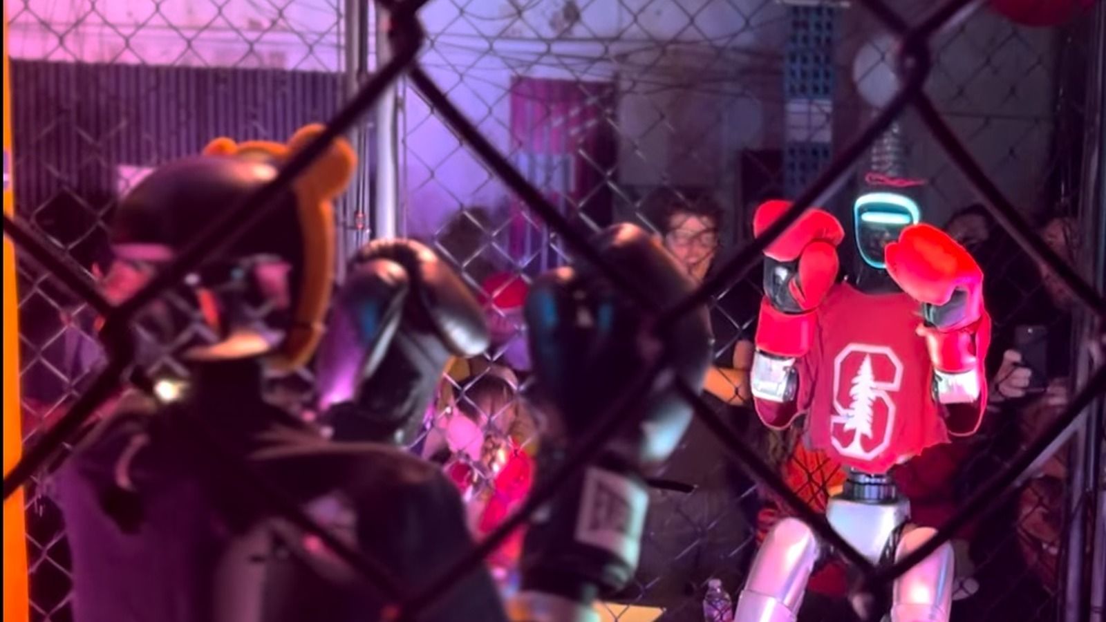 California Pulls the Plug on Human vs. Robot Cage Fights