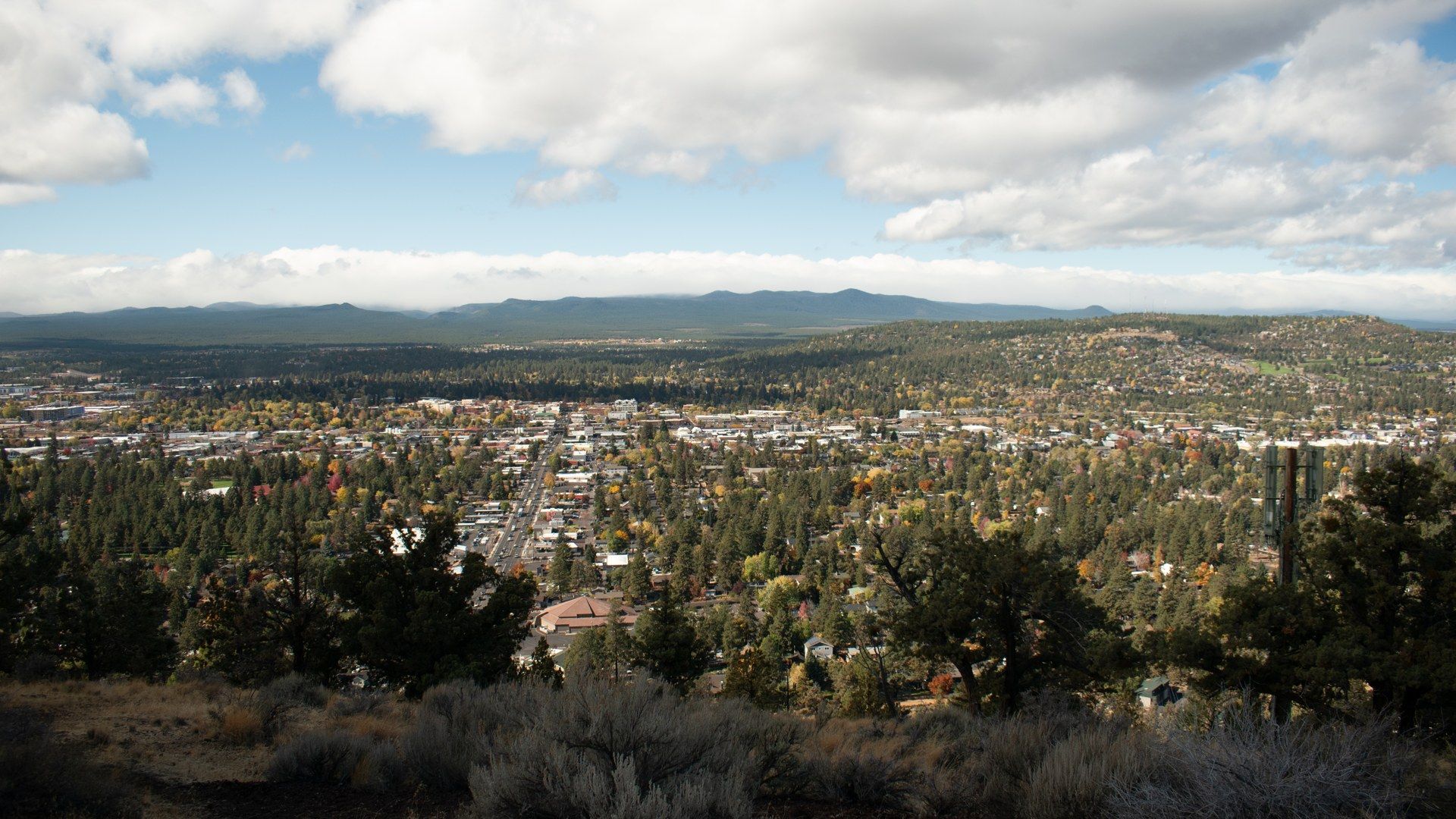 Bend Dad and Teacher Hailed as Heroes After Silver Rail Elementary Shooting
